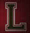 Lincoln Community High School Foundation