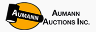 Aumann Auctions